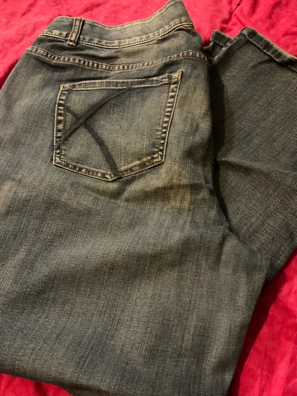 Lane Bryant Dark Wash Flare Jeans